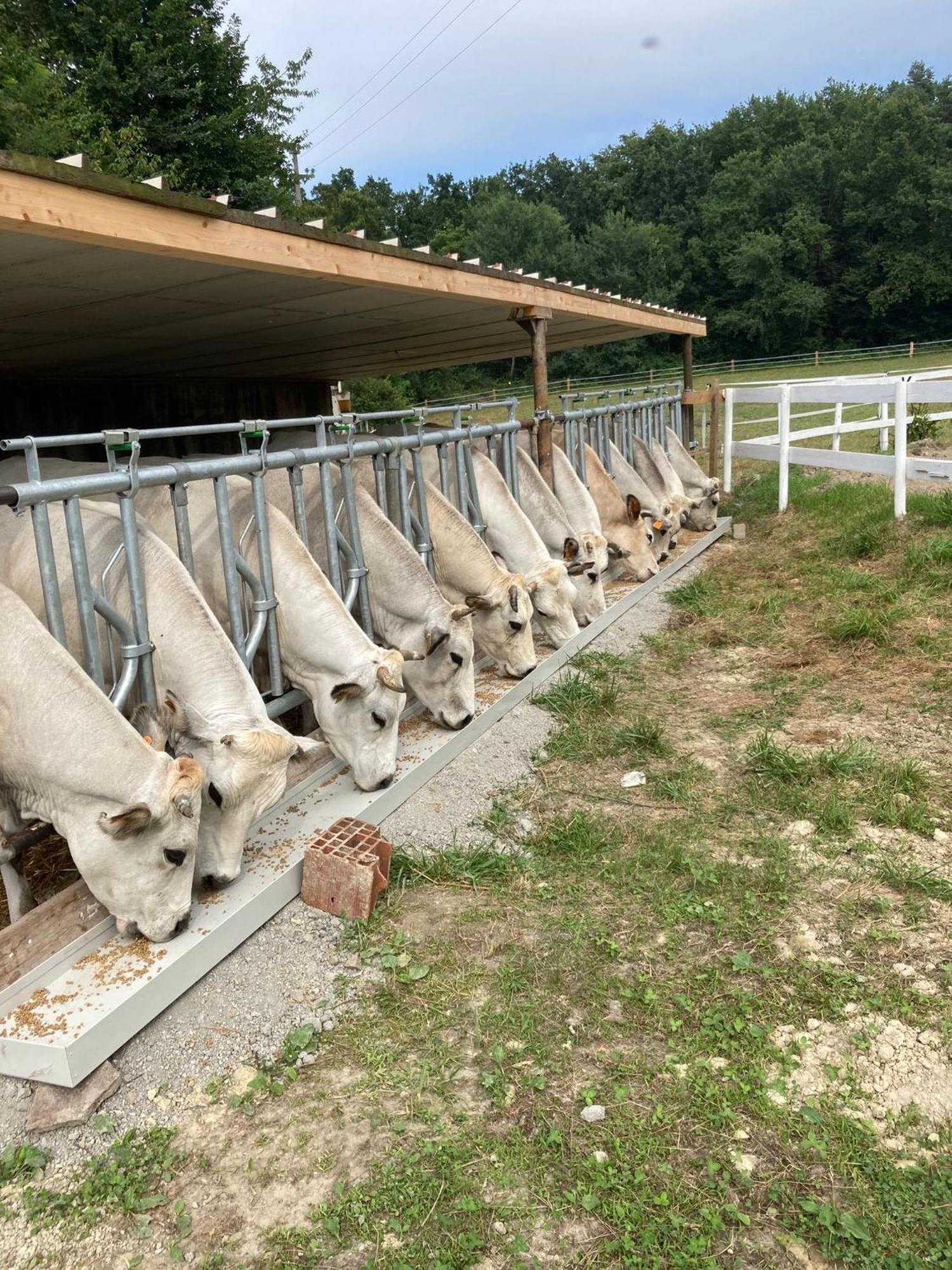Alloggio per agriturismo La Fornace Centro Ippico