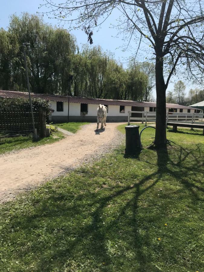 Alloggio per agriturismo La Fornace Centro Ippico Côme